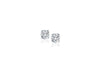 Classic Round Diamond Stud Earrings in 14k White Gold (1/4 cttw)
