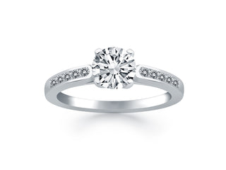 Diamond Channel Cathedral Engagement Ring in 14k White Gold