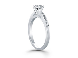 Diamond Channel Cathedral Engagement Ring in 14k White Gold