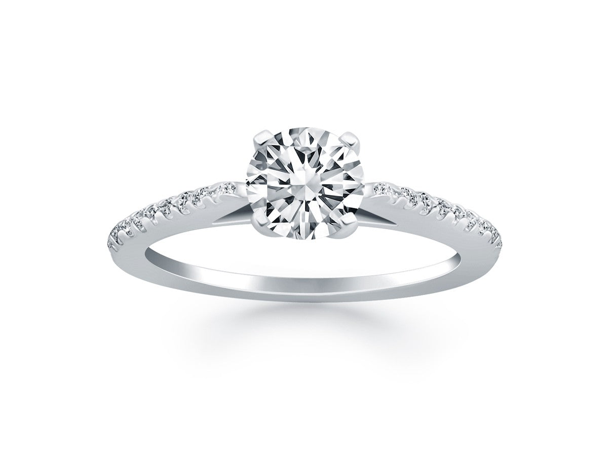 Micro Prong Diamond Cathedral Engagement Ring in 14k White Gold