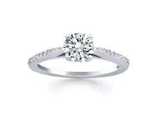 Micro Prong Diamond Cathedral Engagement Ring in 14k White Gold
