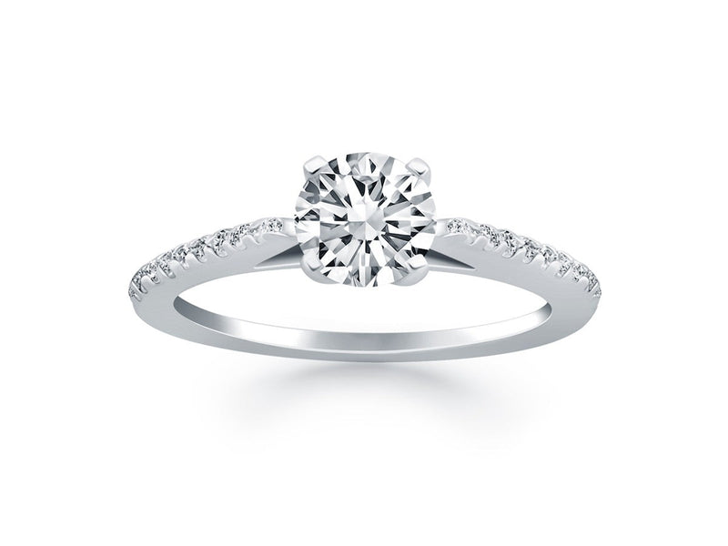 Micro Prong Diamond Cathedral Engagement Ring in 14k White Gold