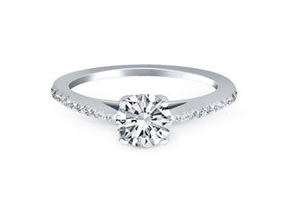 Micro Prong Diamond Cathedral Engagement Ring in 14k White Gold