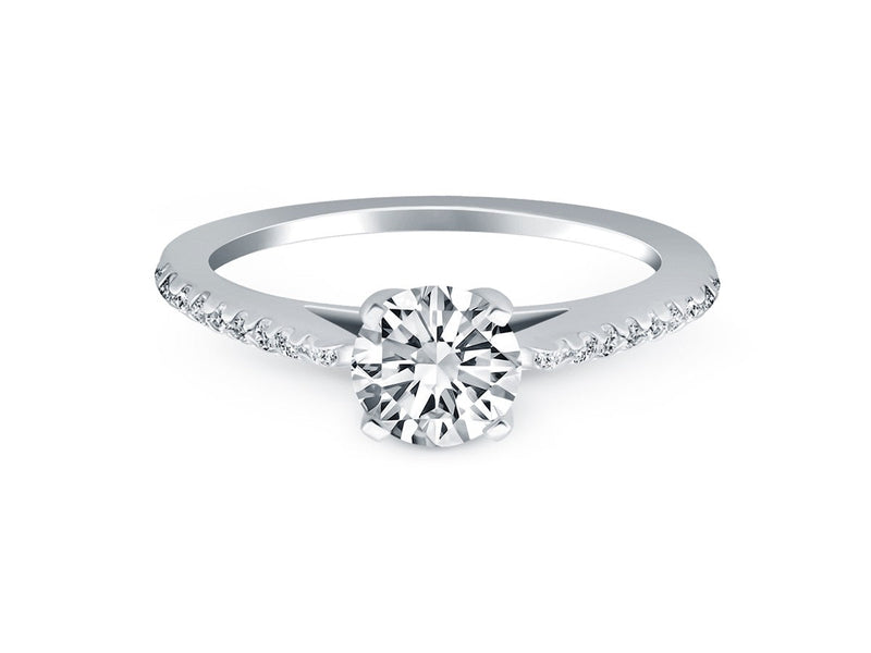 Micro Prong Diamond Cathedral Engagement Ring in 14k White Gold