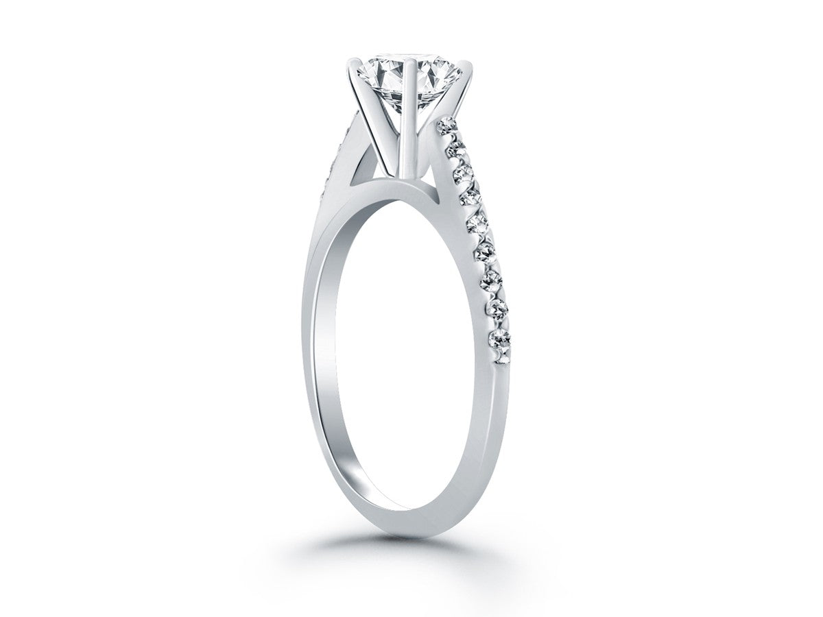 Micro Prong Diamond Cathedral Engagement Ring in 14k White Gold