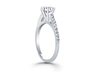 Micro Prong Diamond Cathedral Engagement Ring in 14k White Gold